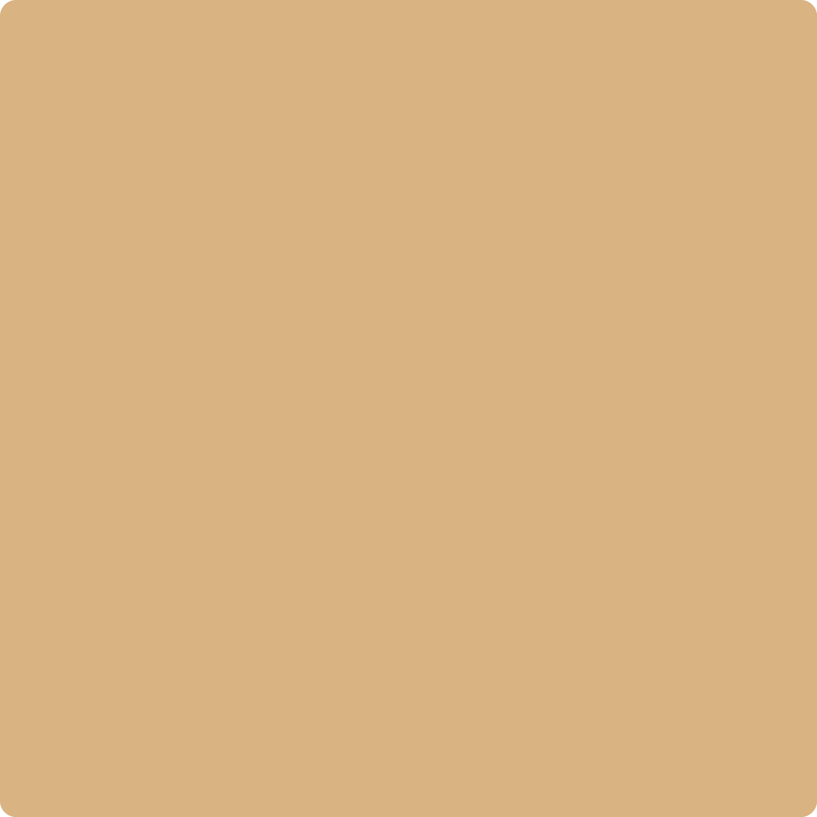 Shop Benajmin Moore's 2165-40 Dark Beige at Aboff's in New York & Long Island. Long Island's favorite Benjamin Moore dealer.