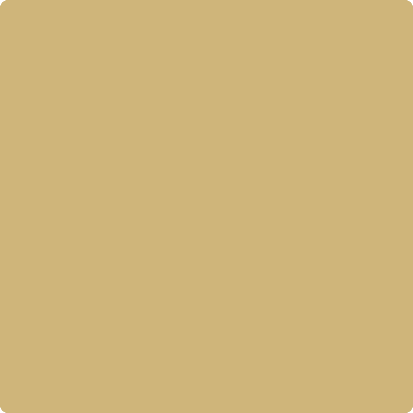 Shop Benajmin Moore's 222 Mustard Seed at Aboff's in New York & Long Island. Long Island's favorite Benjamin Moore dealer.
