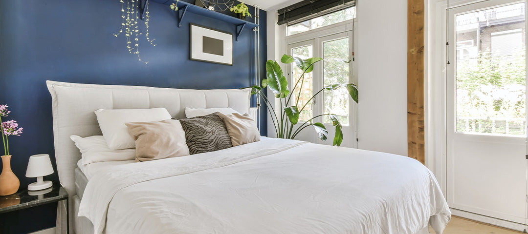 Best Accent Wall Colors to Spruce up Your Space