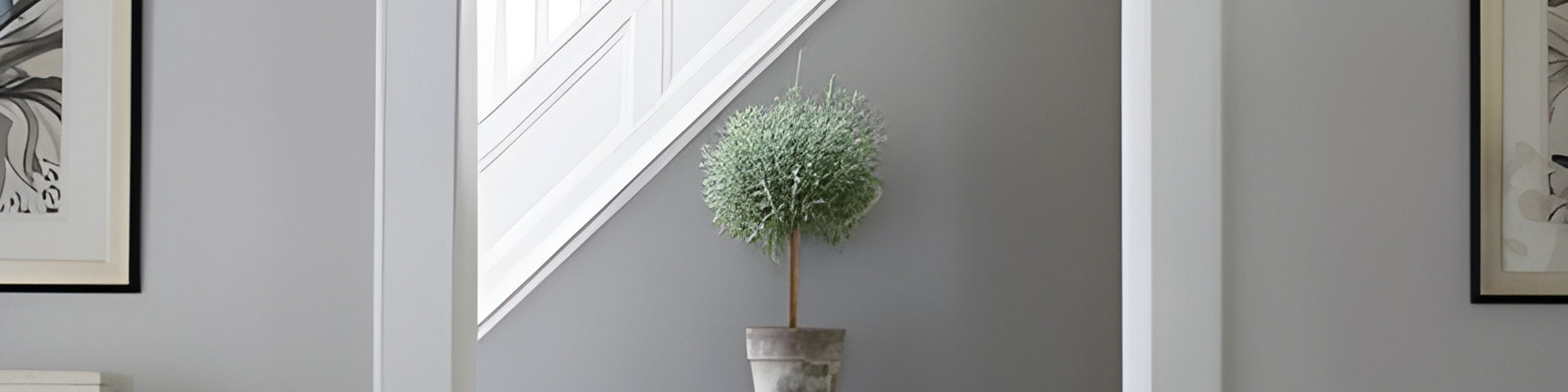 Gray Paint Colors