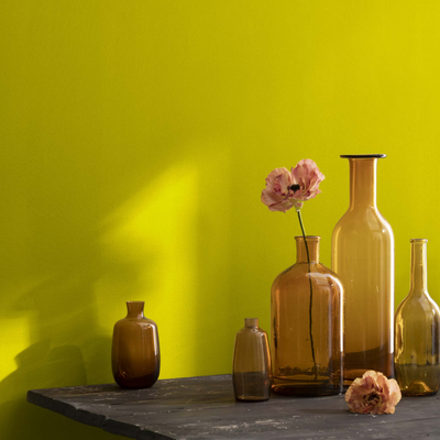 2024-10 Chartreuse by Benjamin Moore