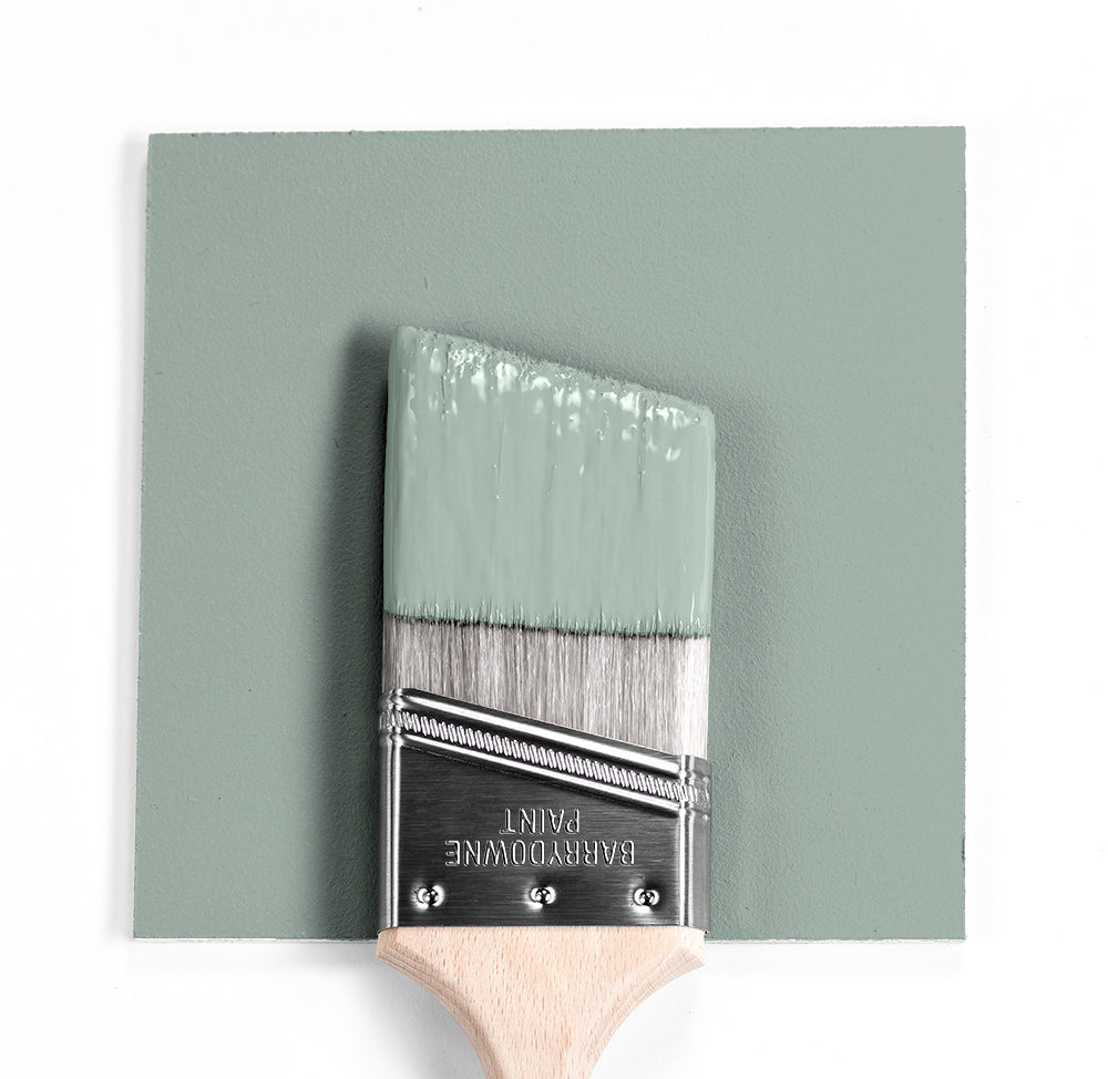 1572 Raindance by Benjamin Moore