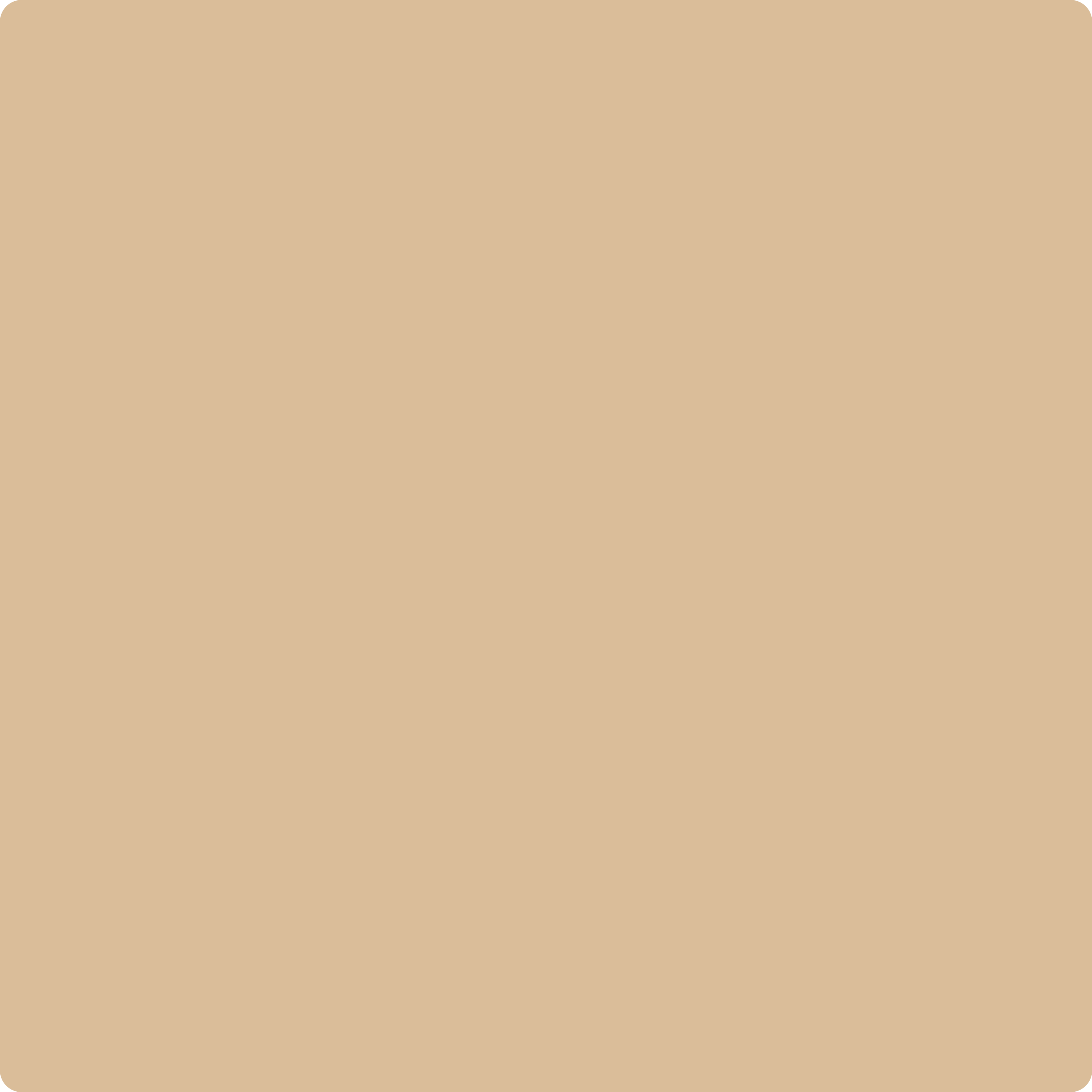 1116 Sepia Tan