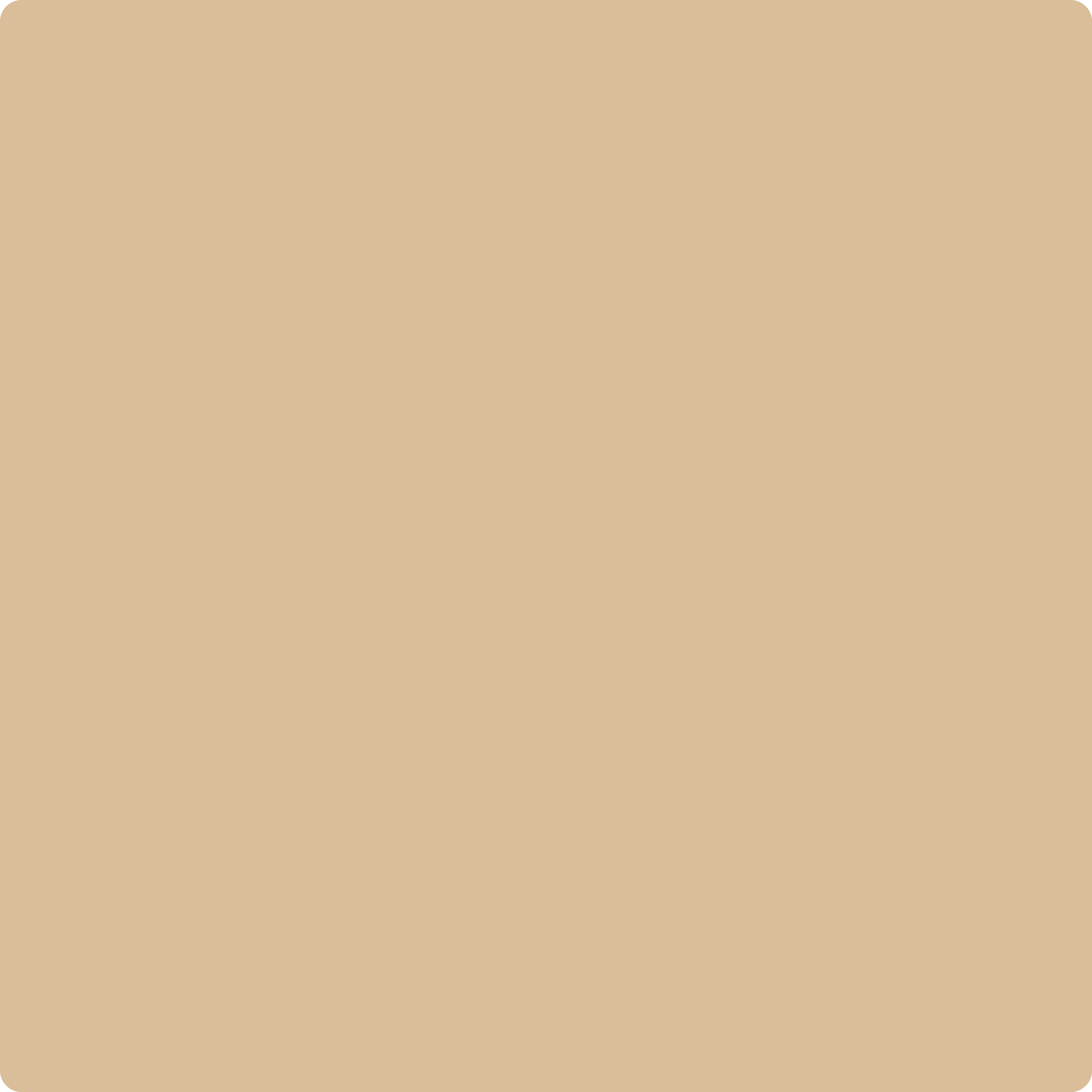 1116 Sepia Tan a Paint Color by Benjamin Moore
