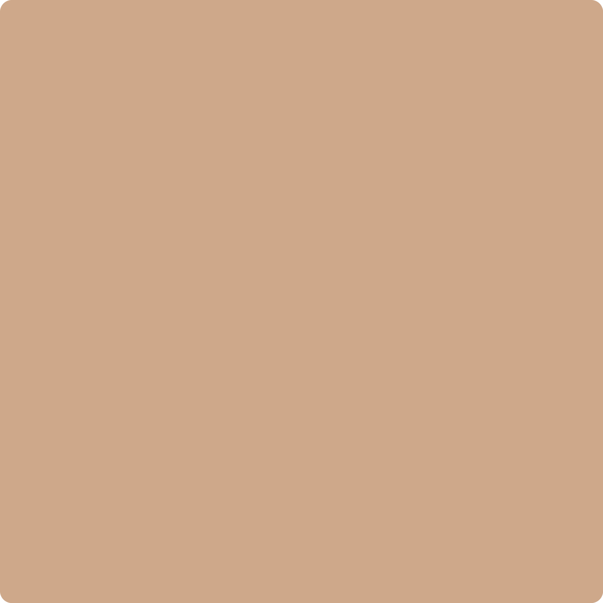 1153 Dearborn Tan a Paint Color by Benjamin Moore
