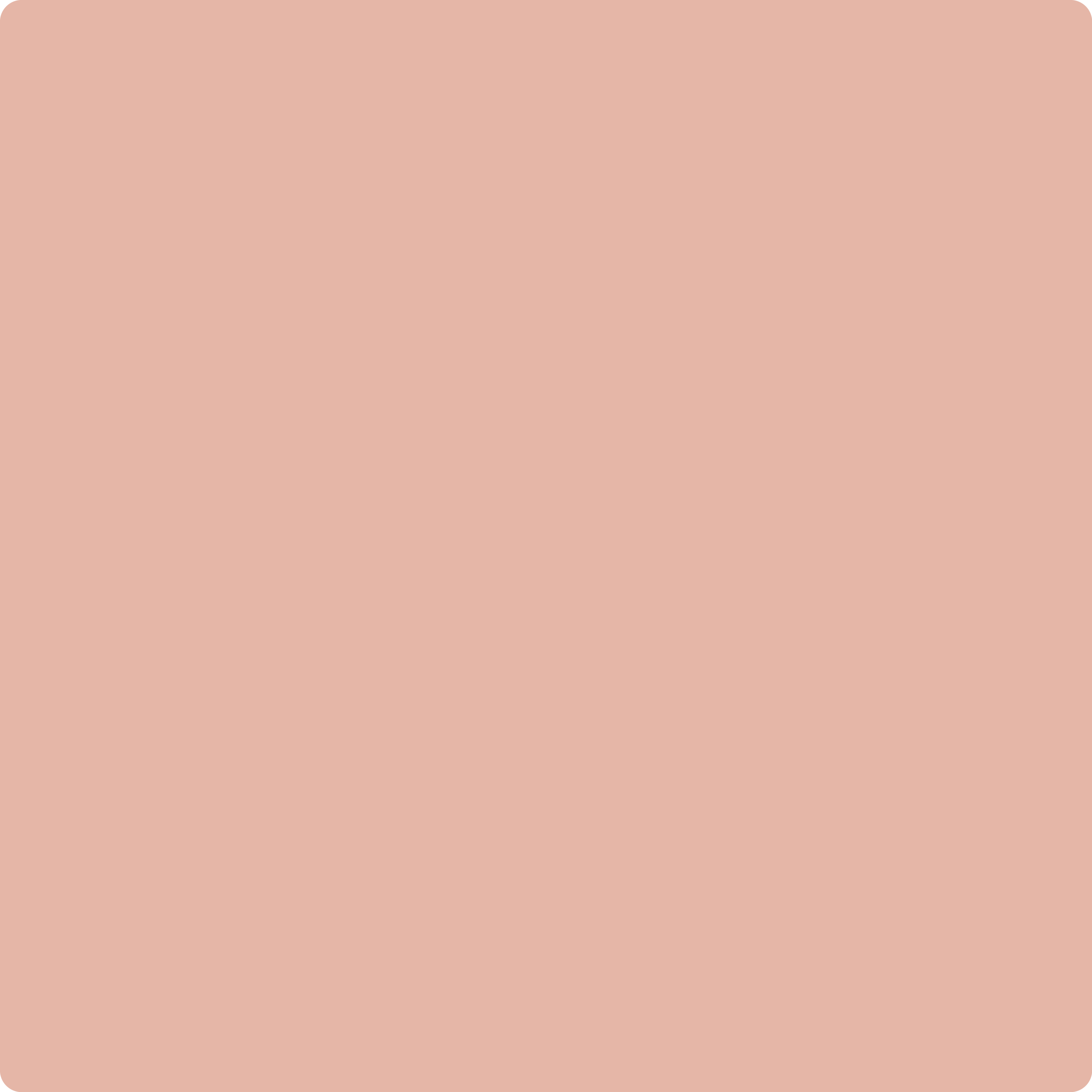 1199 Peach Mousse