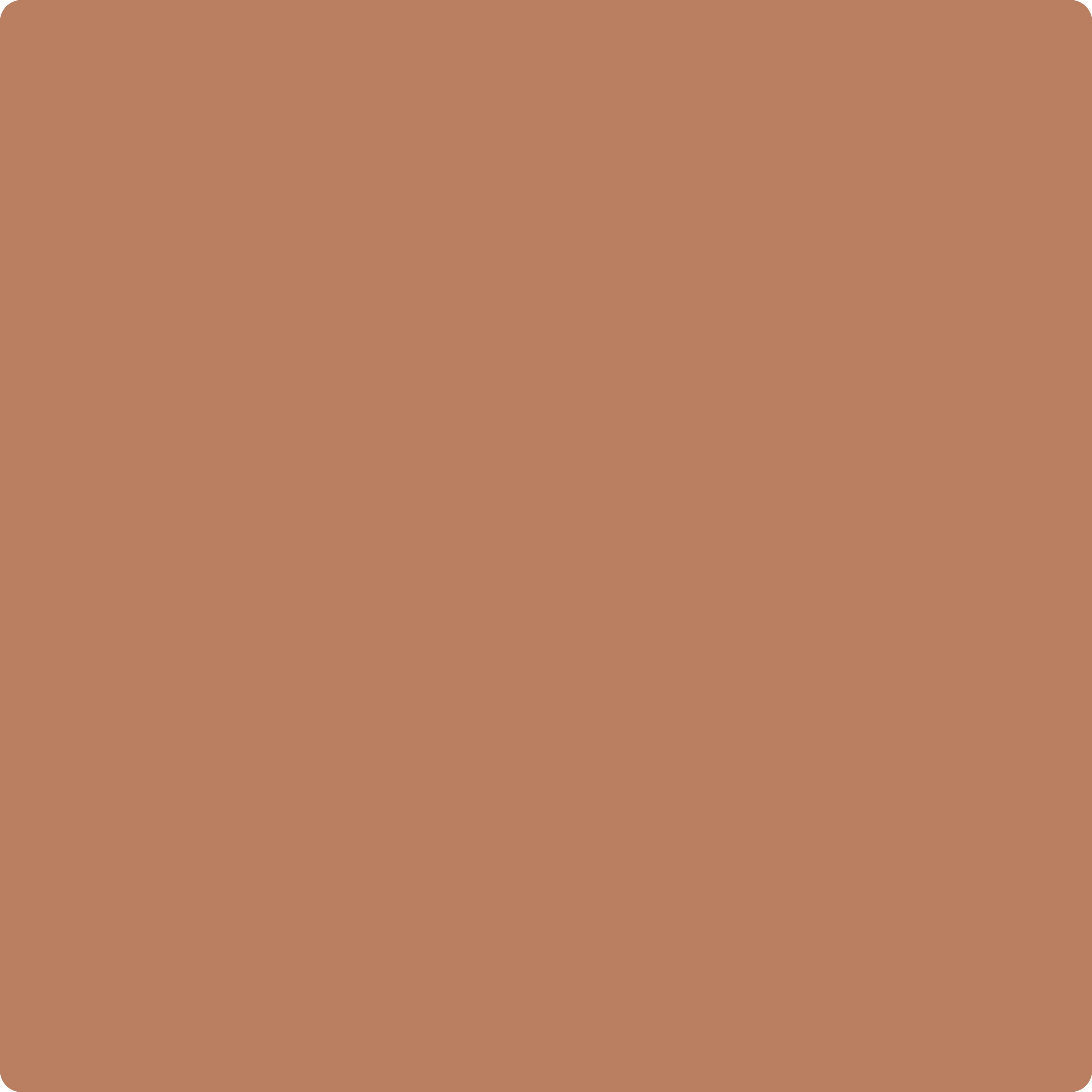 1217 Suntan Bronze