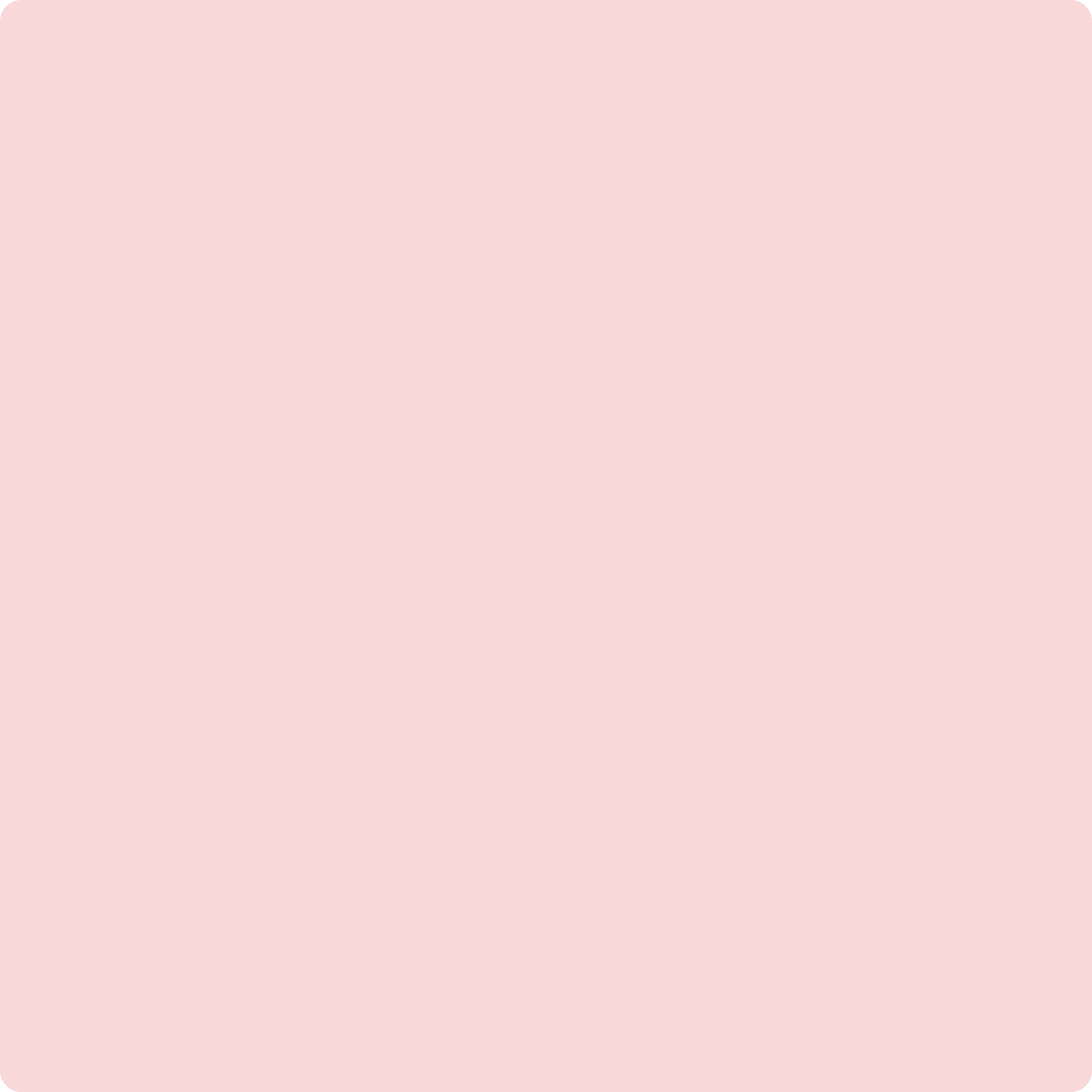 1338 Powder Blush a Paint Color by Benjamin Moore | Aboff's