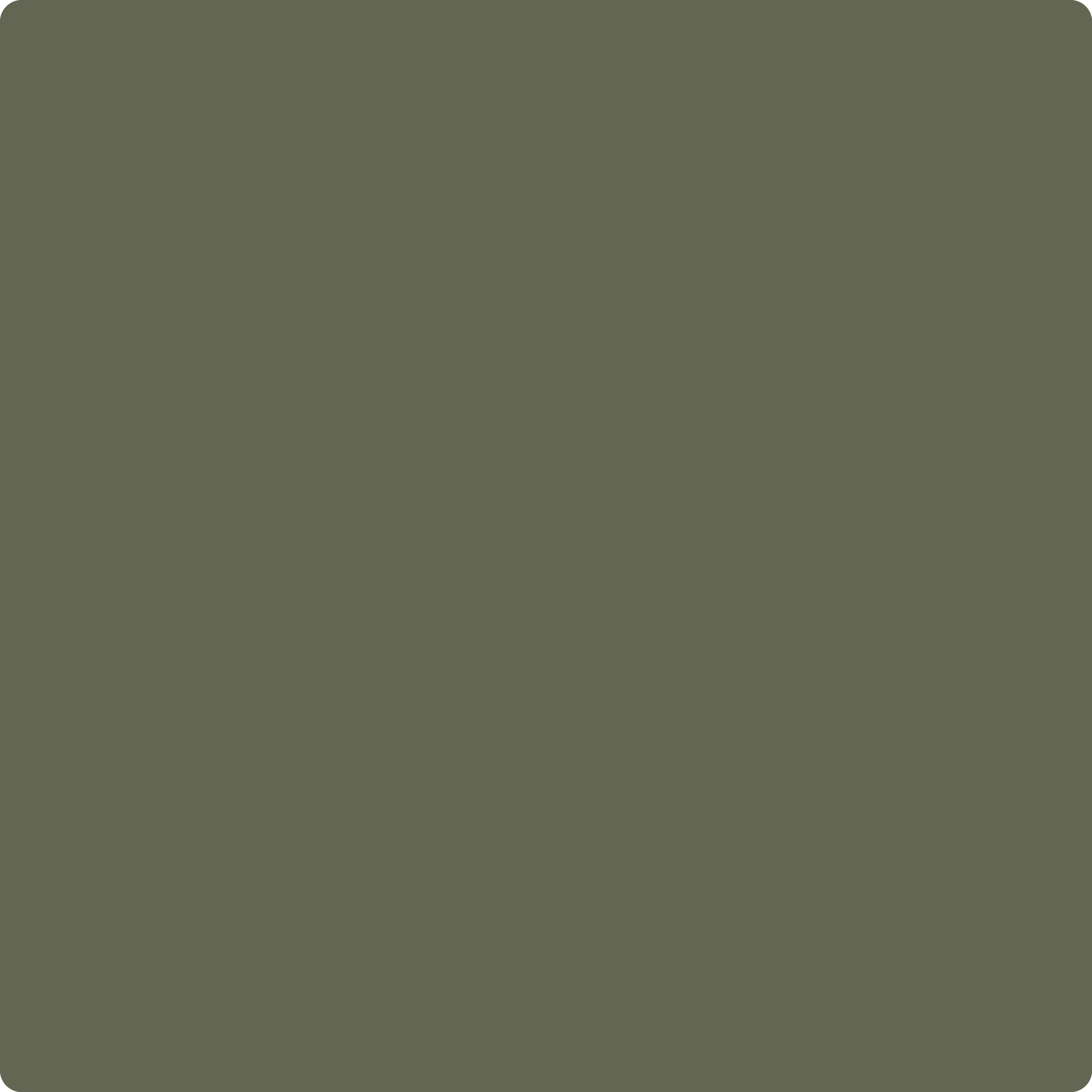 1498 Forest Floor
