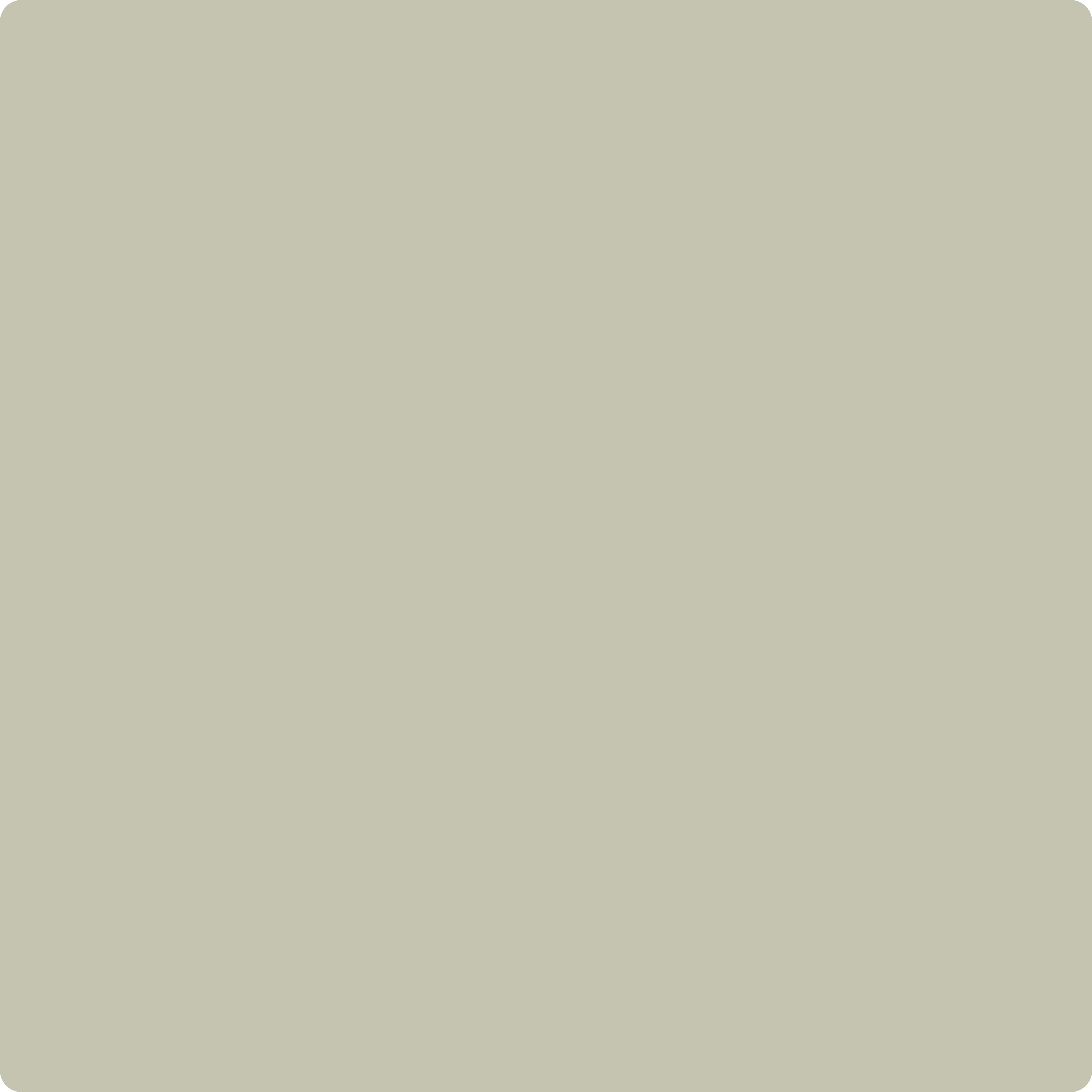 mmmmm様　オリーブ 1509 Spanish Olive a Paint Color by Benjamin Moore | Aboff's