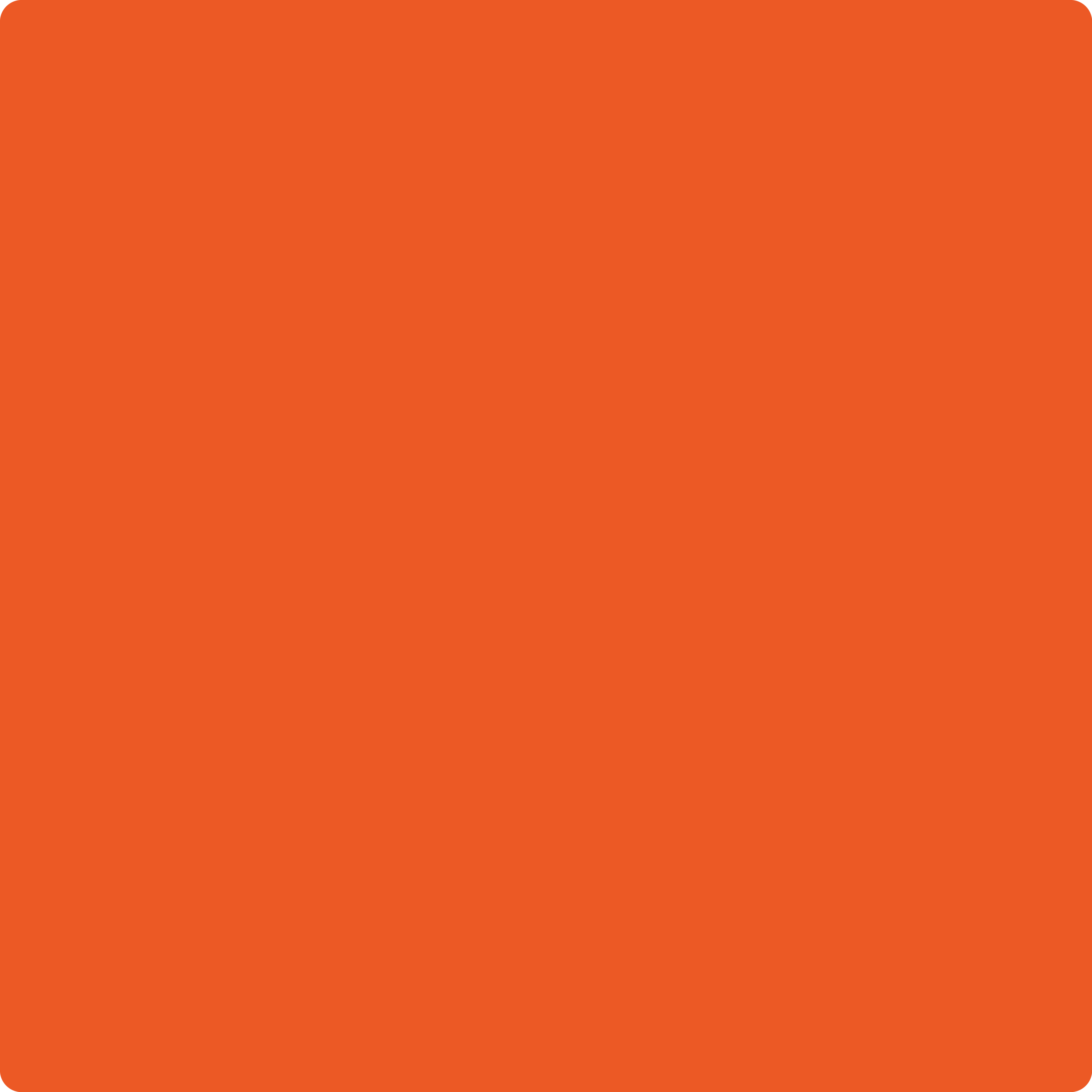2014-10 Festival Orange a Paint Color by Benjamin Moore | Aboff's