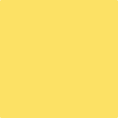2021-40-yellowhighlighter_240x