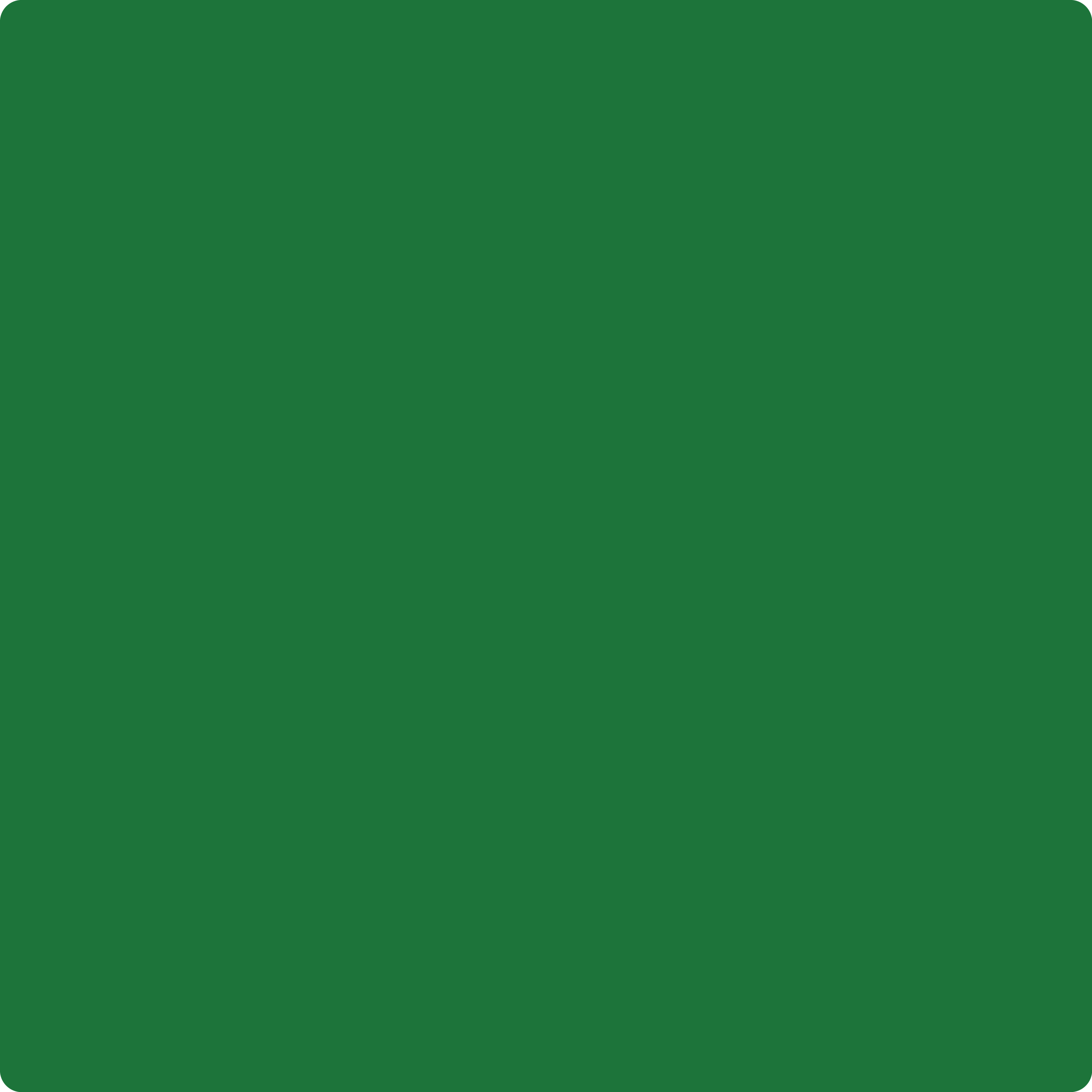その他 TEN BUF GREEN L TEN BUF GREEN L