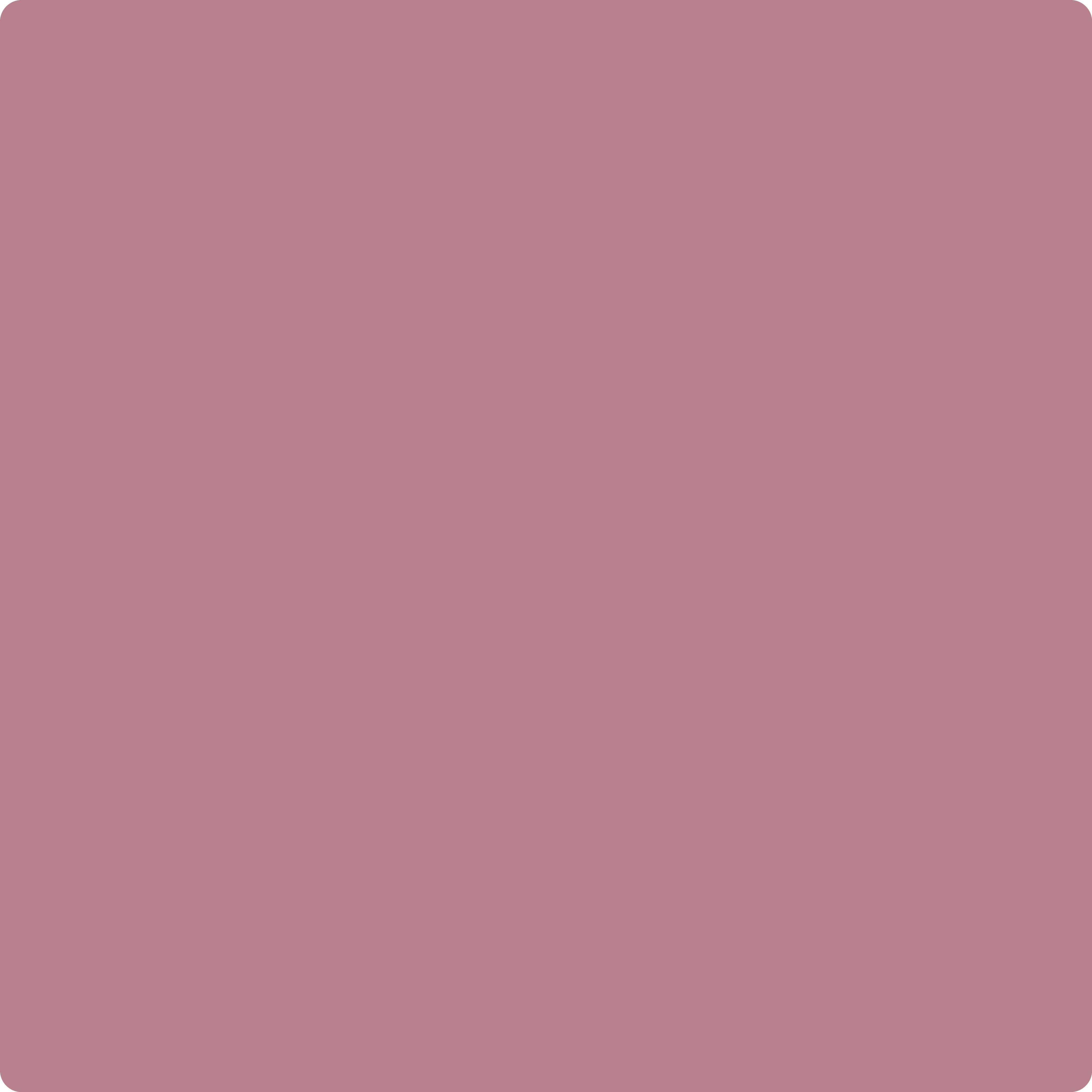 2082-40 Rosewood a Paint Color by Benjamin Moore | Aboff's