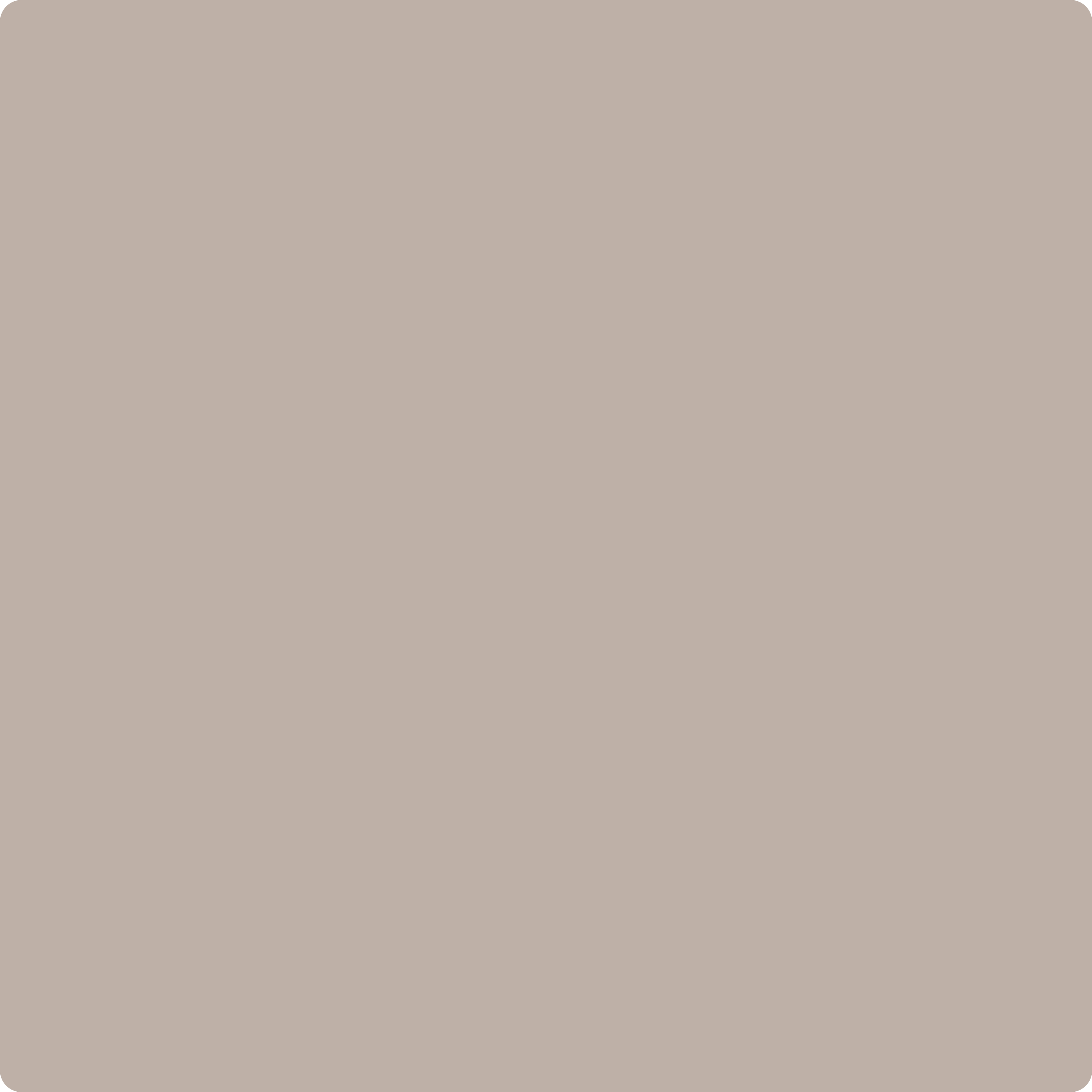2107-50 Sandlot Gray