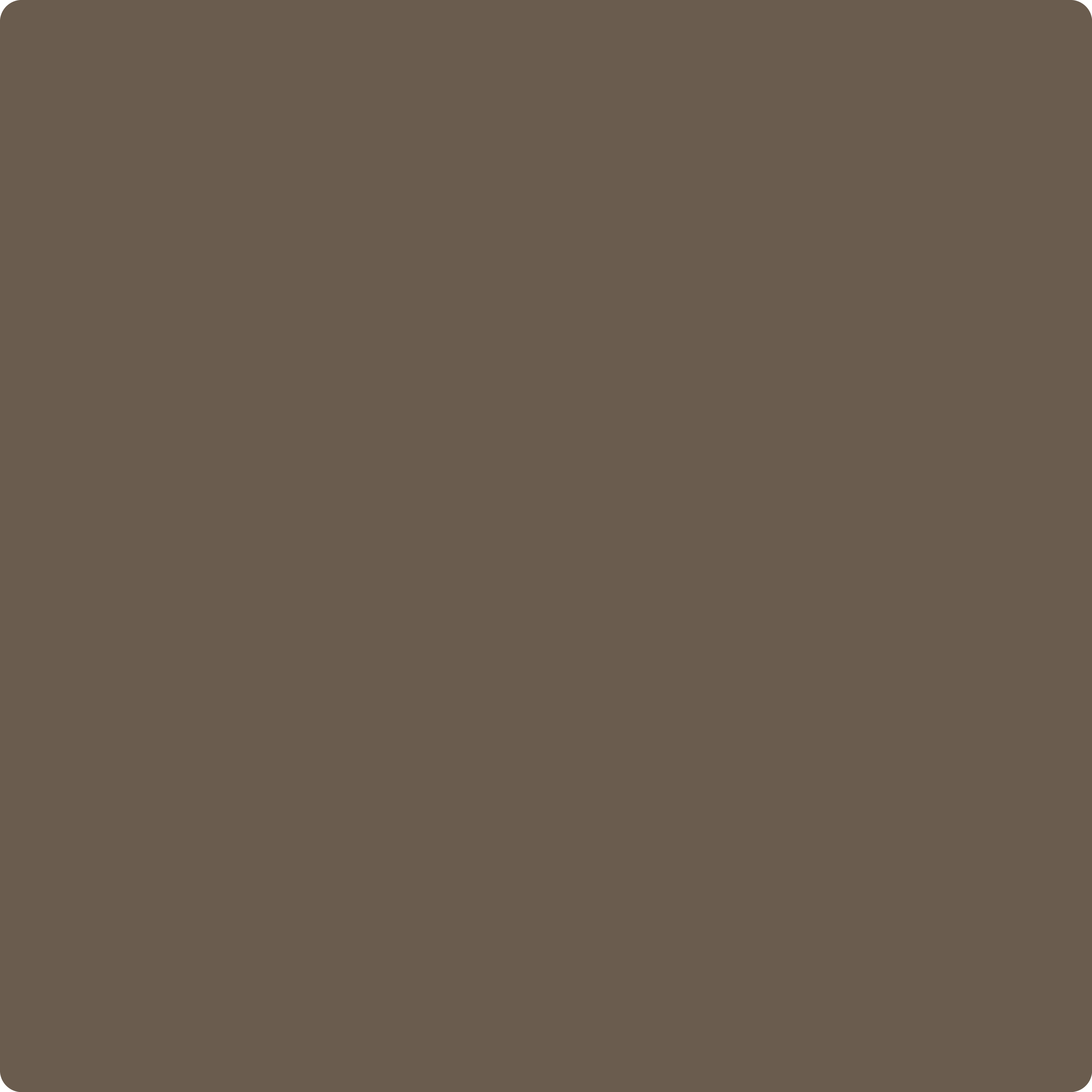 2108-30 Brown Horse