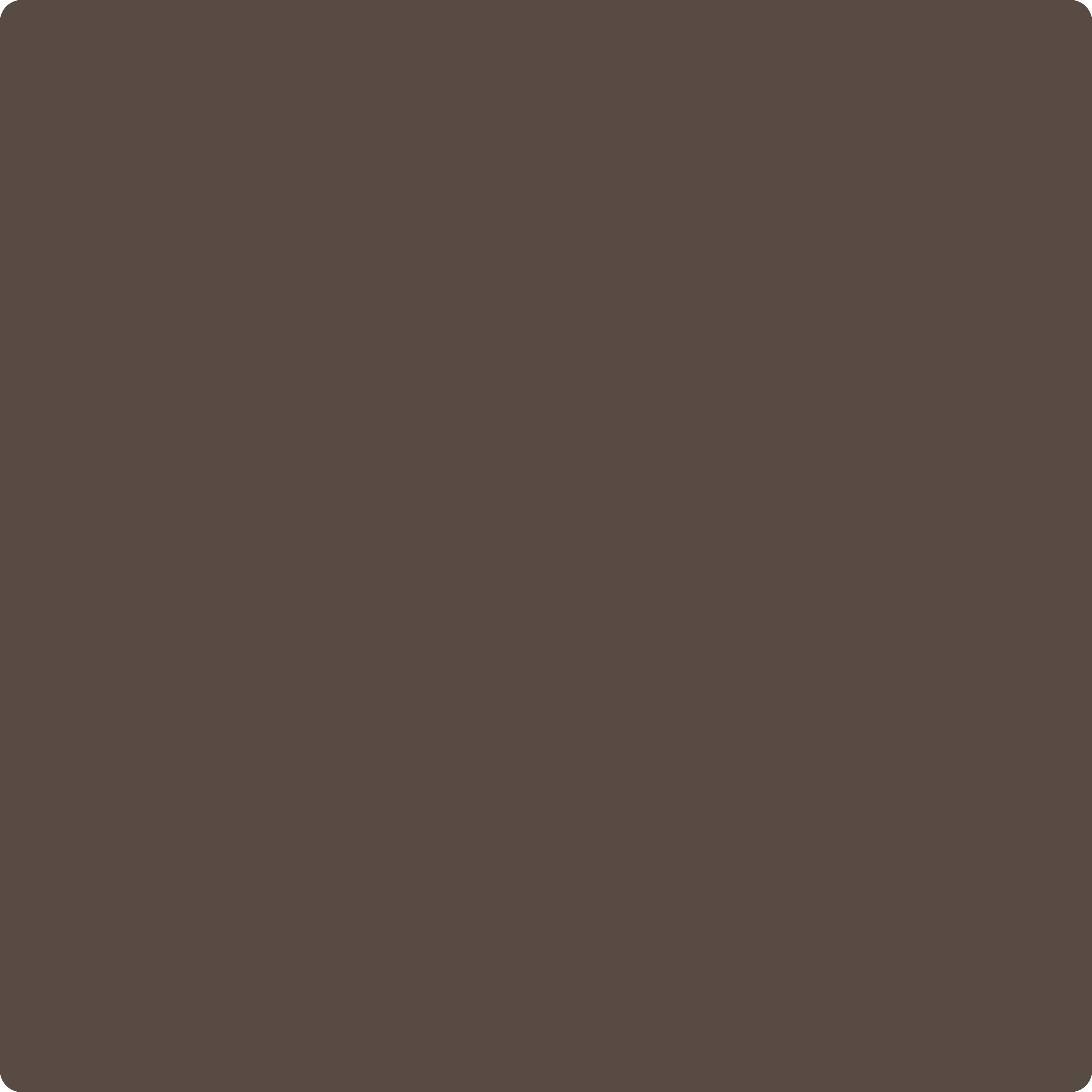 ●BROWN SUGA Brown Suga Products