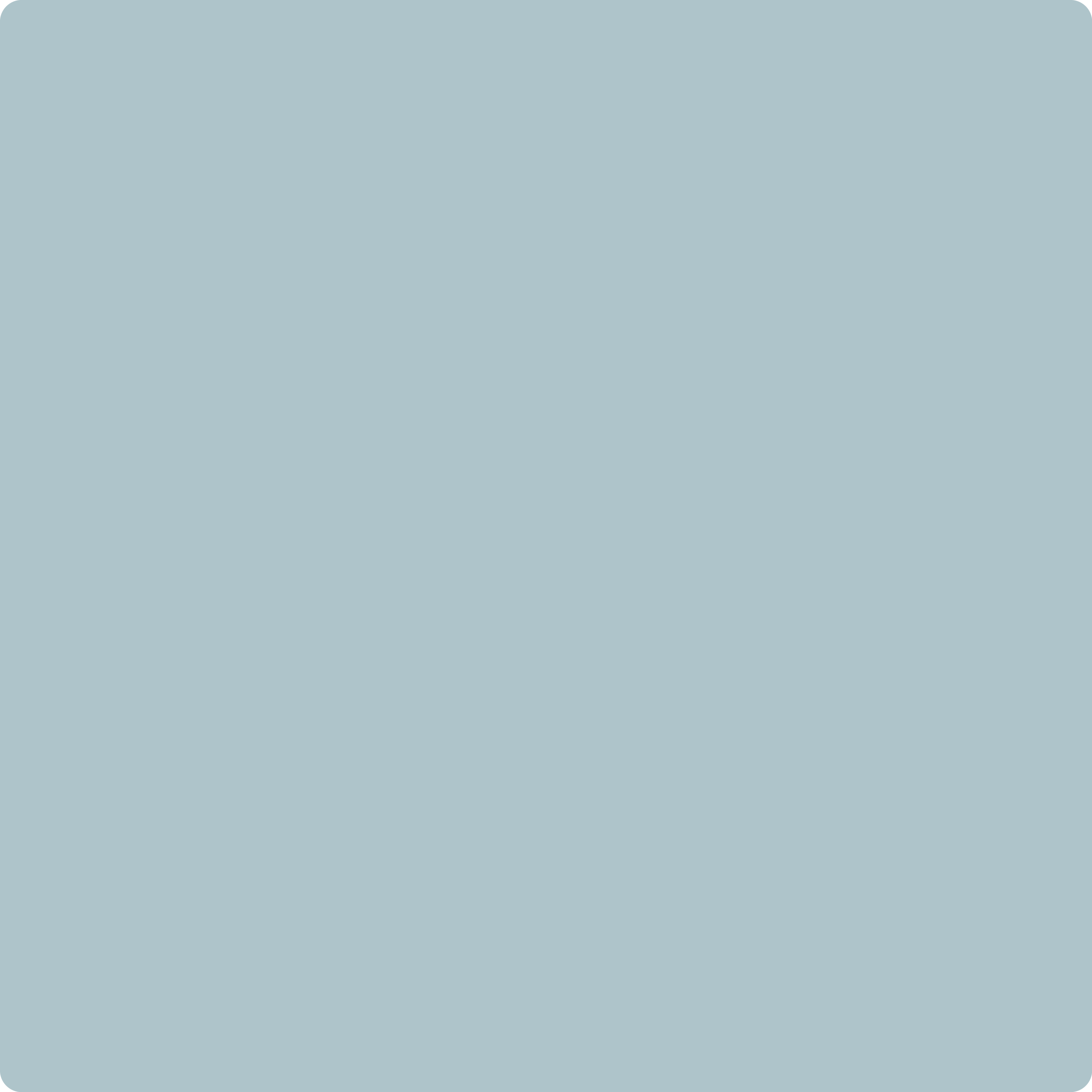 2135-50 Soft Chinchilla