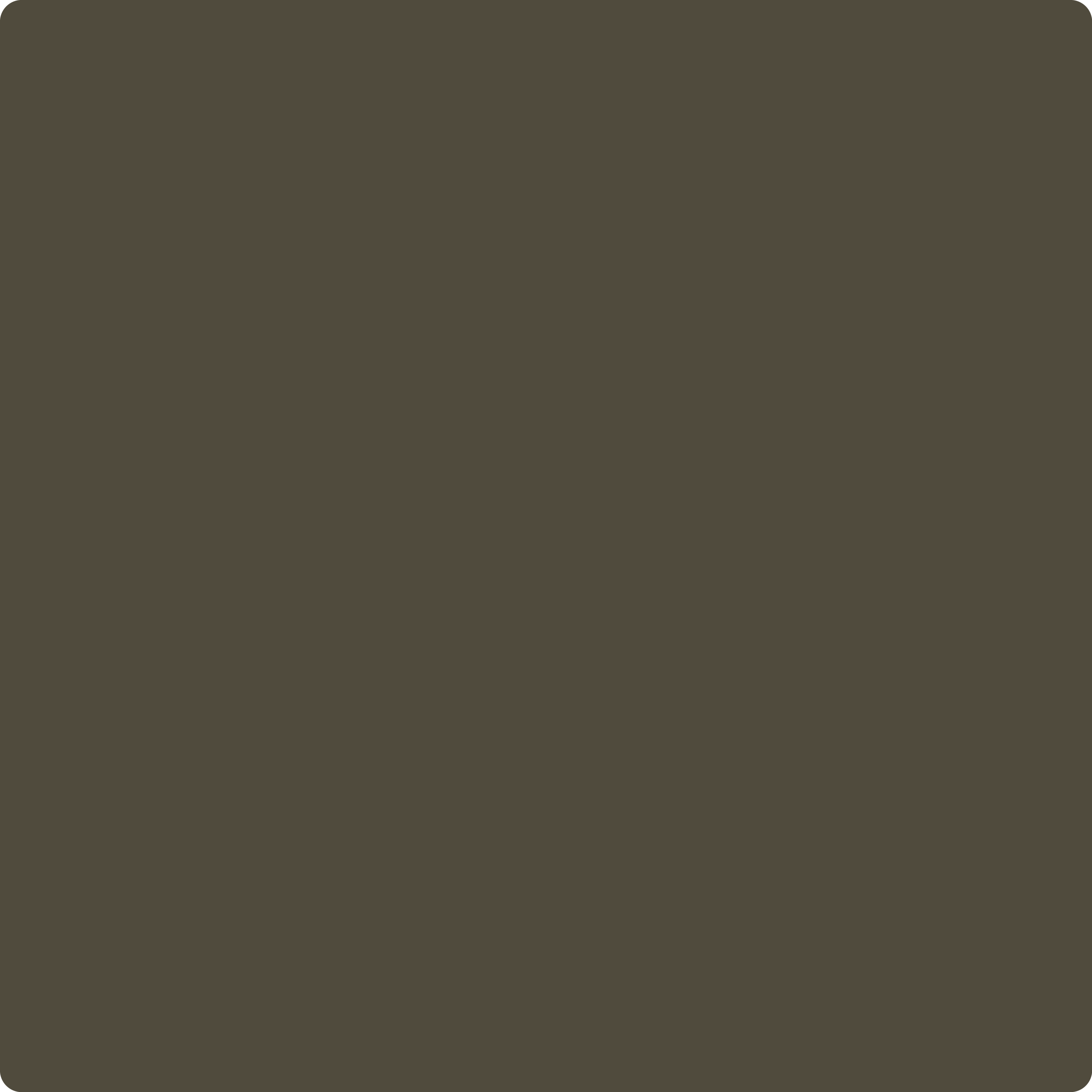 2138-10 Southern Vine