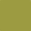 Shop Benajmin Moore's 2146-20 Forest Moss at Aboff's in New York & Long Island. Long Island's favorite Benjamin Moore dealer.