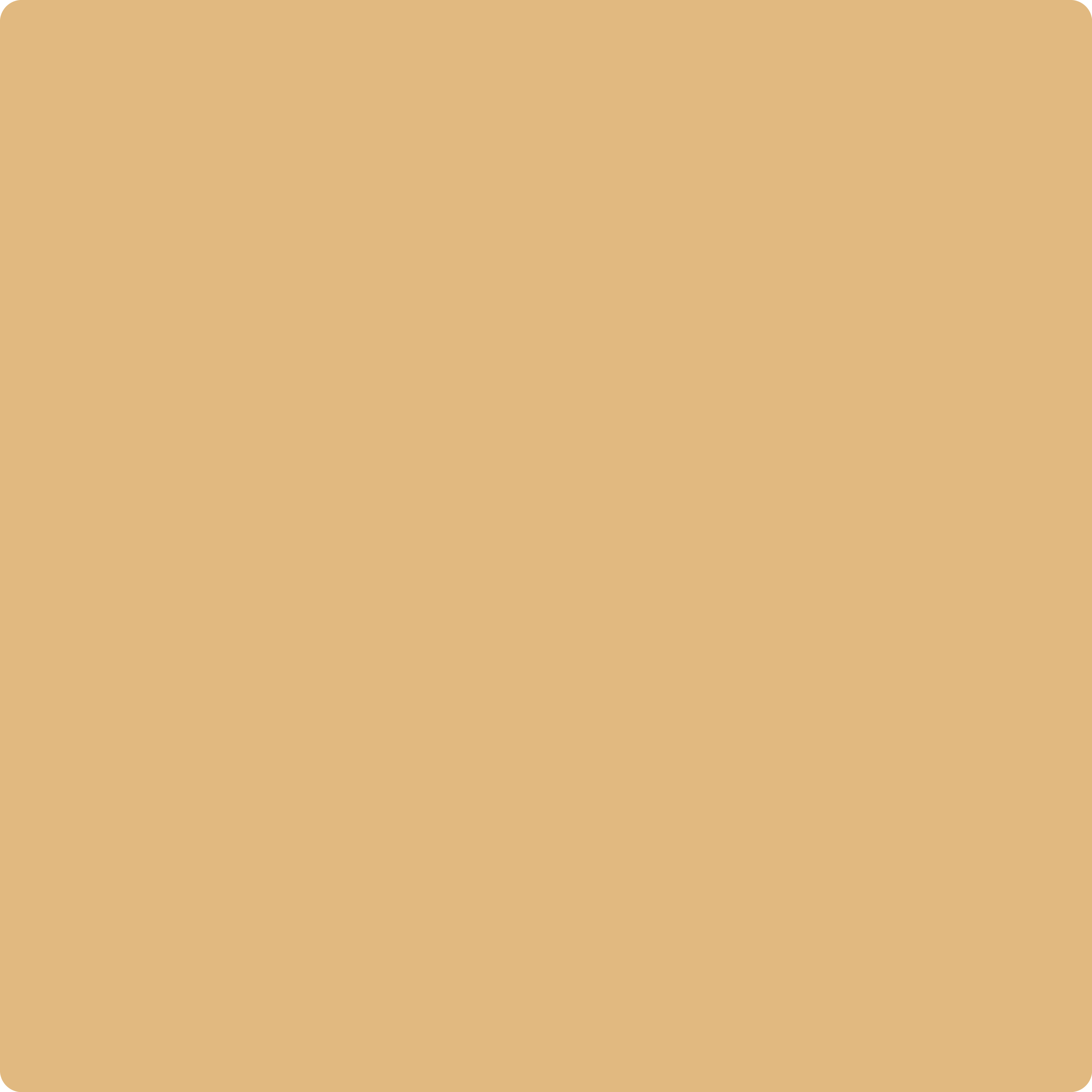 2160-40 Roasted Sesame Seeds a Paint Color by Benjamin Moore