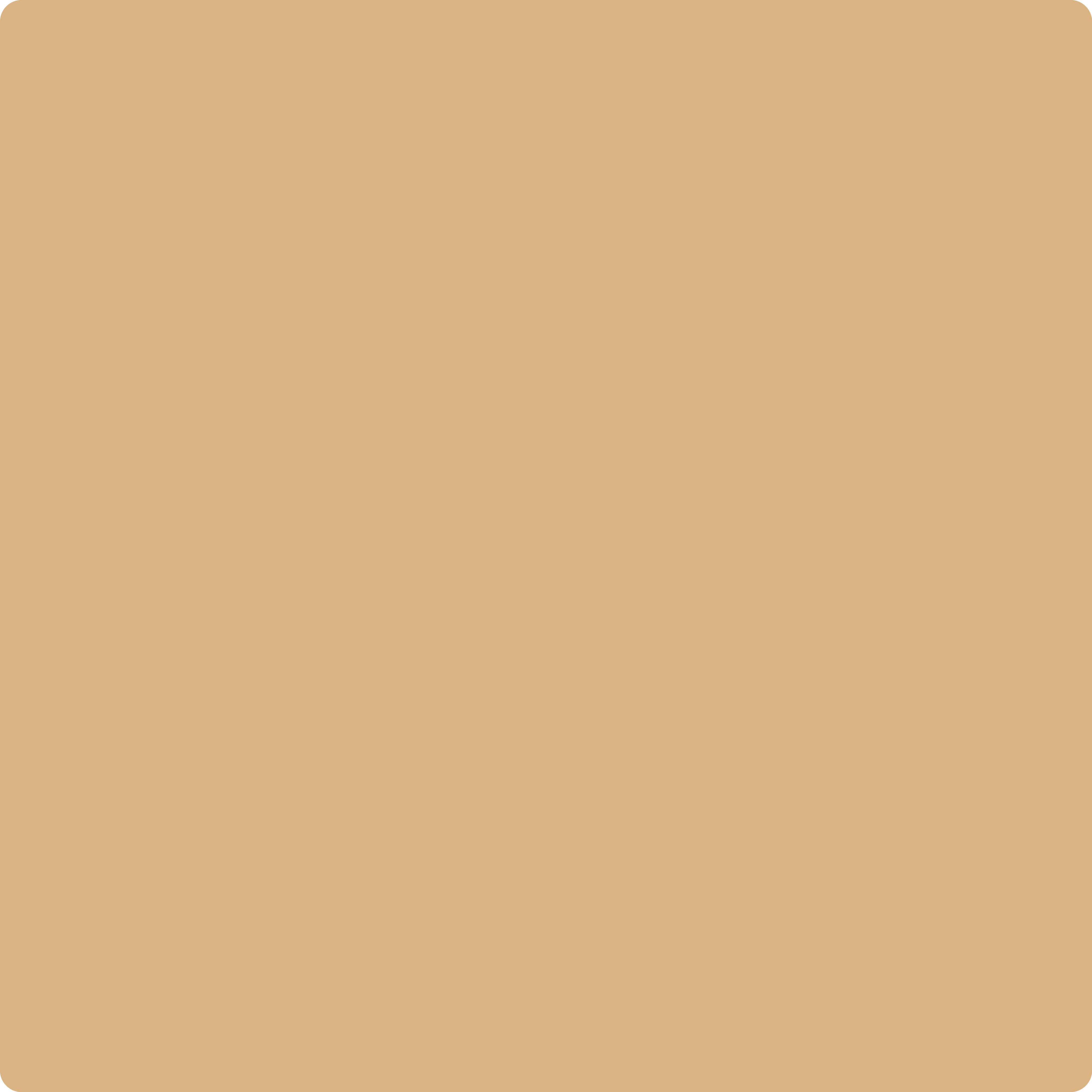 2165-40 Dark Beige