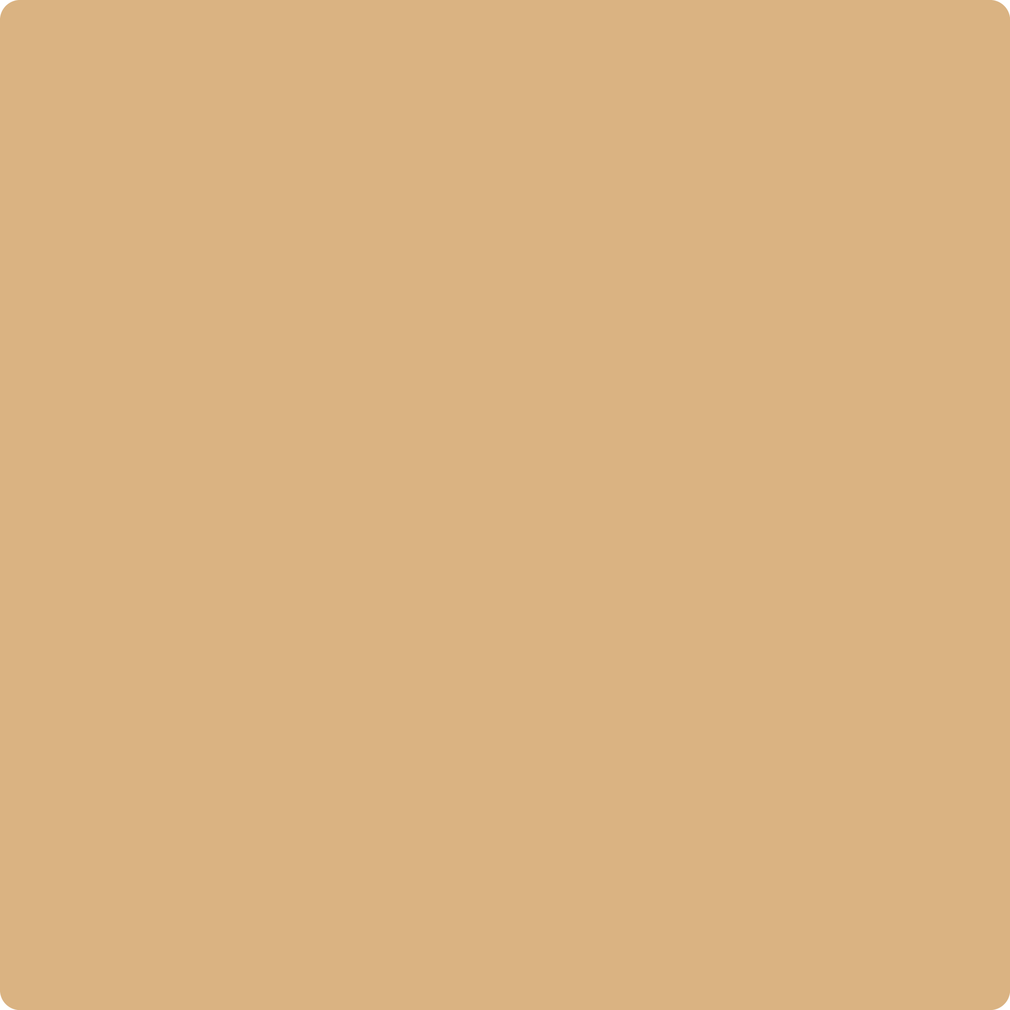 Dark Beige Paint Color