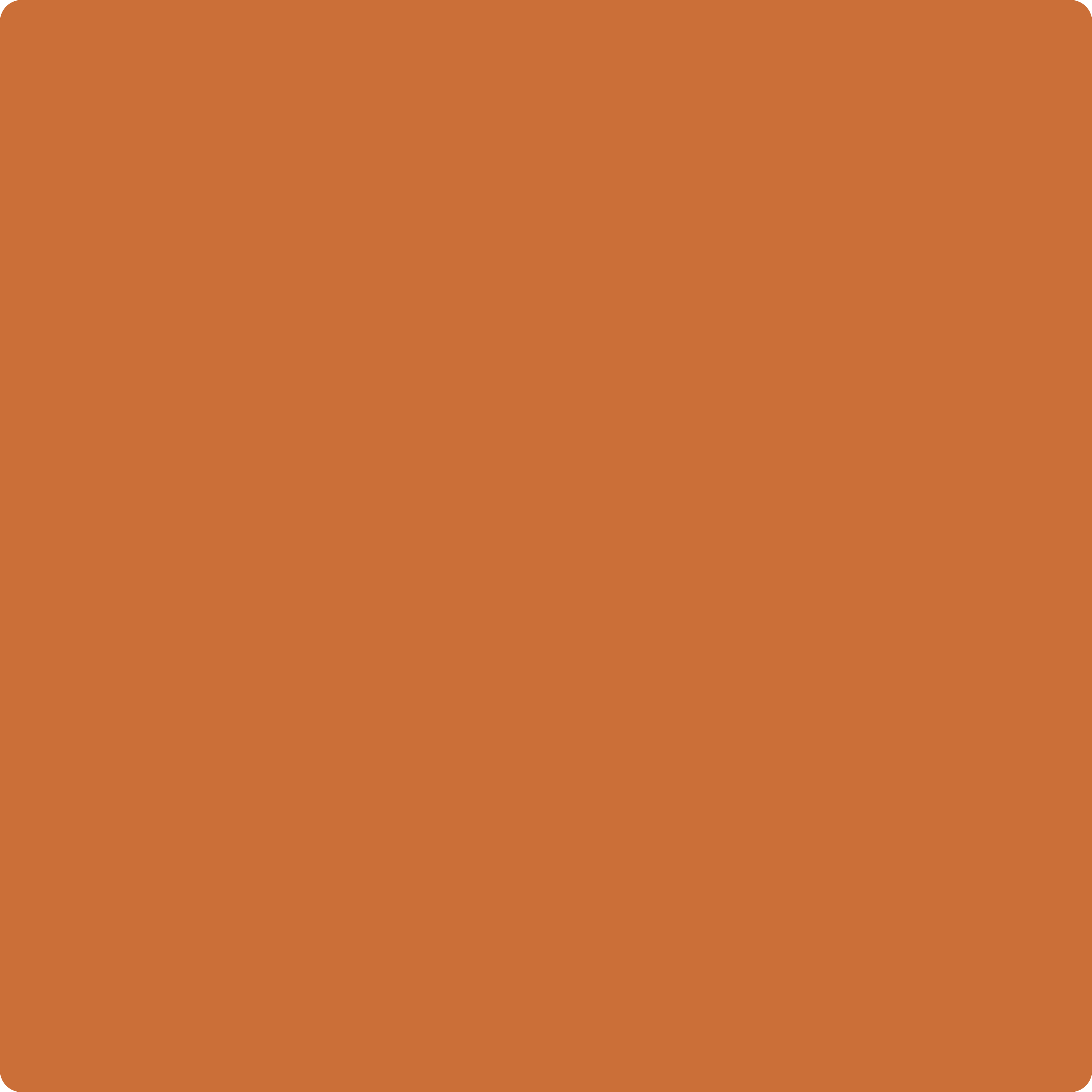 2167-10 Burnt Caramel a Paint Color by Benjamin Moore | Aboff's