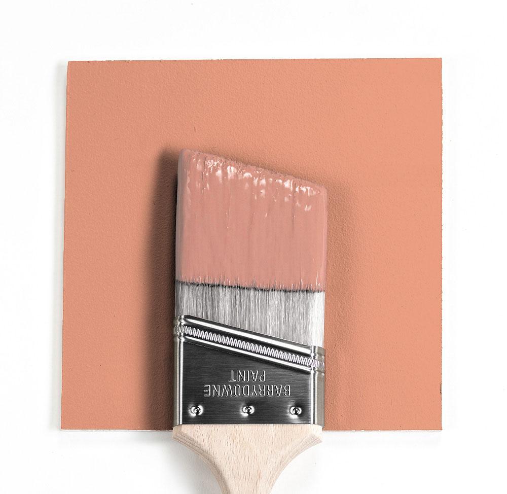 Shop Benajmin Moore's 2170-40 Coral Spice at Aboff's in New York & Long Island. Long Island's favorite Benjamin Moore dealer.