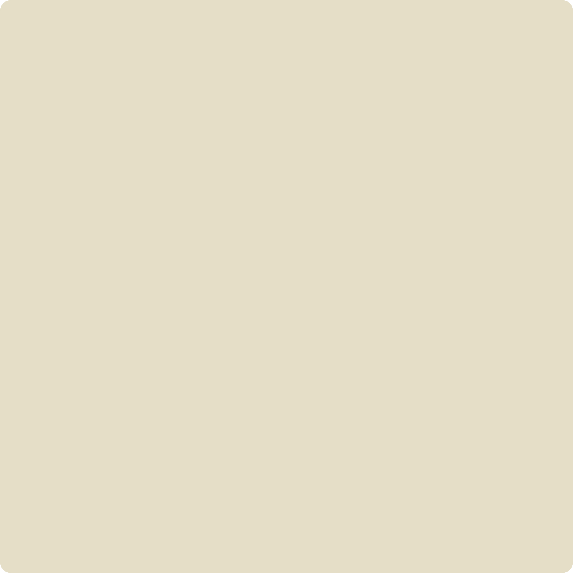 239 Ivory Porcelain a Paint Color by Benjamin Moore | Aboff's