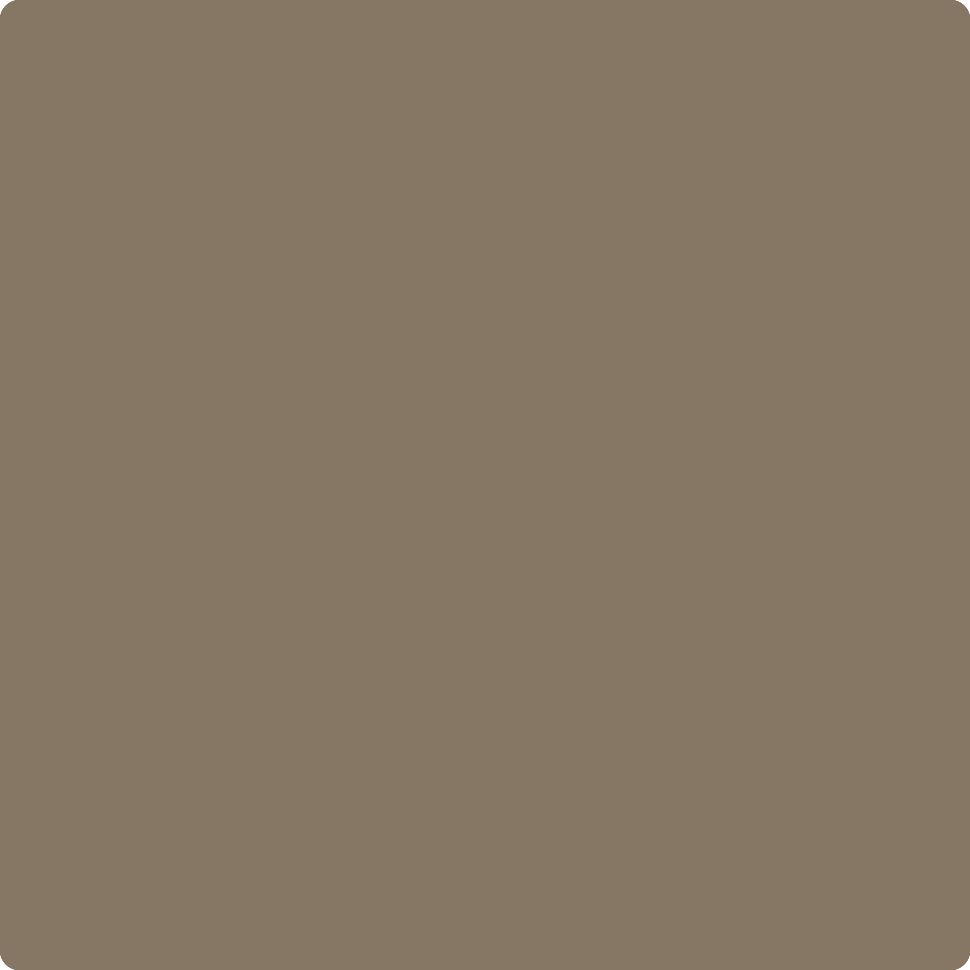 999 Rustic Taupe a Paint Color by Benjamin Moore | Aboff's - Aboff's Paints