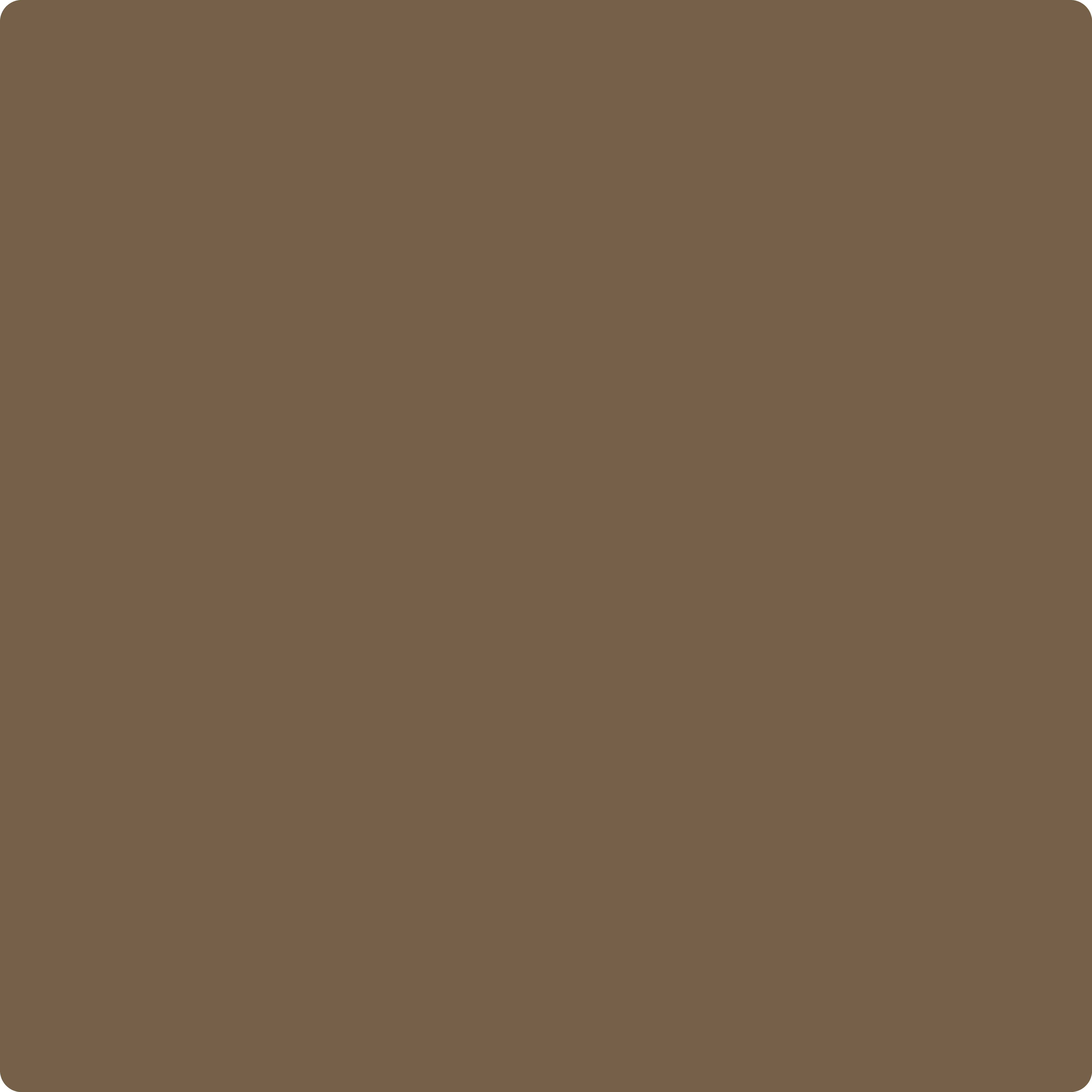 AF-120 Tamarind a Paint Color by Benjamin Moore | Aboff's