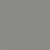 AF-700 Storm by Benjamin Moore