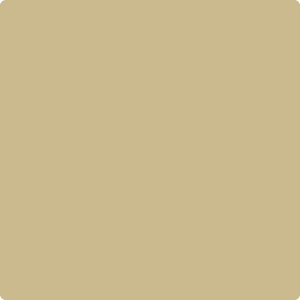 CC-240 Late Wheat