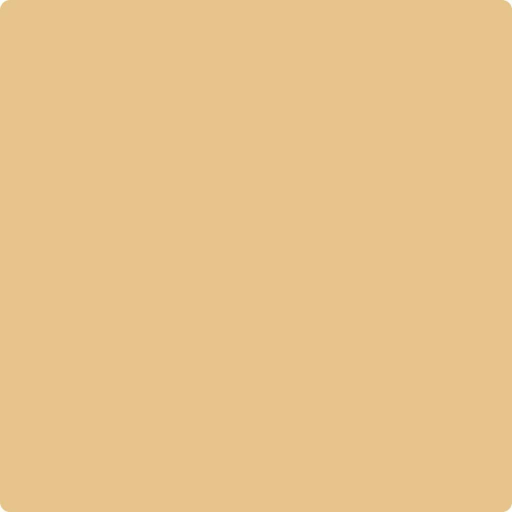 CC-242 Maple Fudge