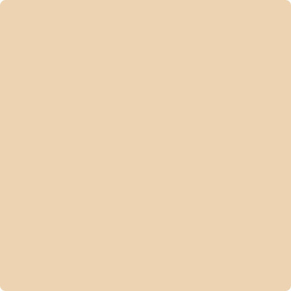 CC-276 Sepia Tan by Benjamin Moore