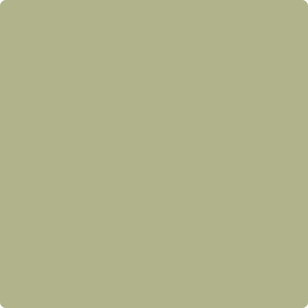 CC-590 Grasslands