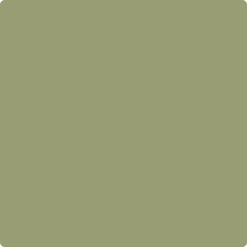CC-668 Misted Fern a Paint Color by Benjamin Moore | Aboff's