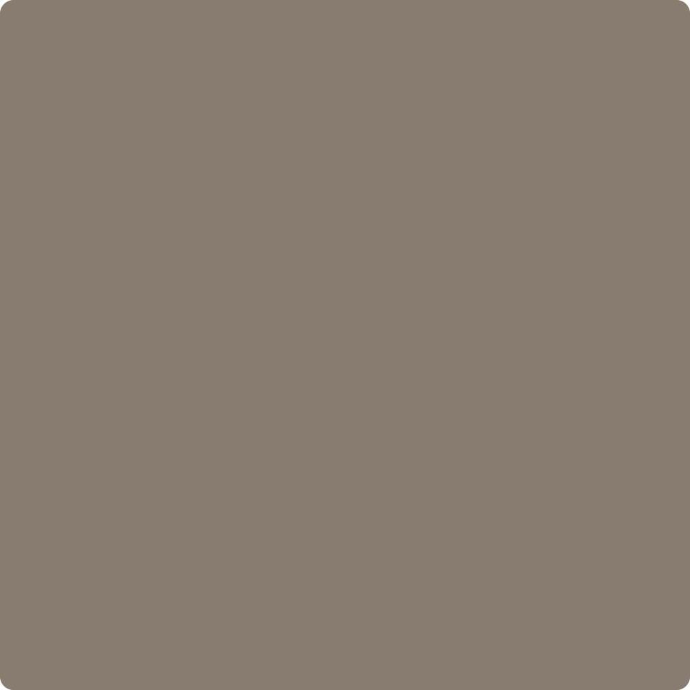 CSP-195 Porcini