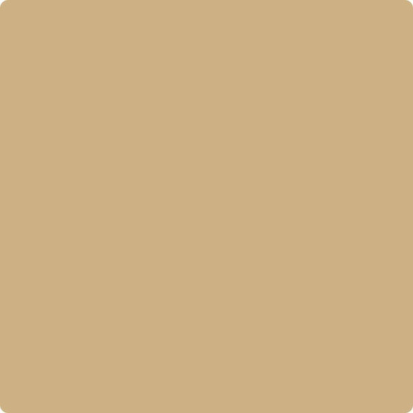 HC-34 Wilmingtong Tan a Paint Color by Benjamin Moore