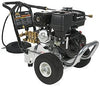 MiTM WP3600 3600PSI Pressure Washer, available at Aboff's in New York and Long Island.
